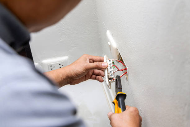 Best Ceiling Fan Installation Electrician  in Hawthorne, FL