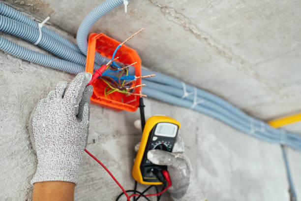 Best Electrical Rewiring Services  in Hawthorne, FL